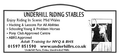 Hacking & Lessons - Young & Problem Horses Schooled - Pony Club Approved - ABRS Approved